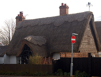 The Owl's Nest March 2012